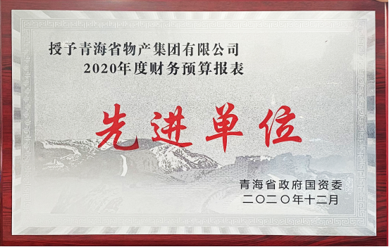 物產(chǎn)集團(tuán)榮獲國(guó)資委2020年度財(cái)務(wù)預(yù)算報(bào)表工作先進(jìn)單位和省財(cái)政廳2019年度全省